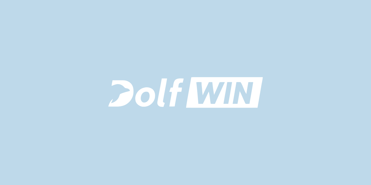 Dolfwin