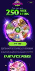 Fantastic Spins Casino mobile screenshot