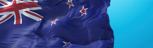 nz-online-casino-reviews-300x95