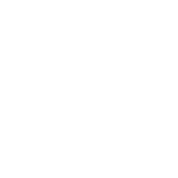 Spinch Casino