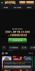 Wildsino Casino mobile screenshot